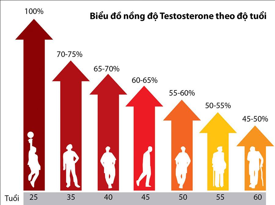 Biểu đồ thay đổi Testosterone theo tuổi