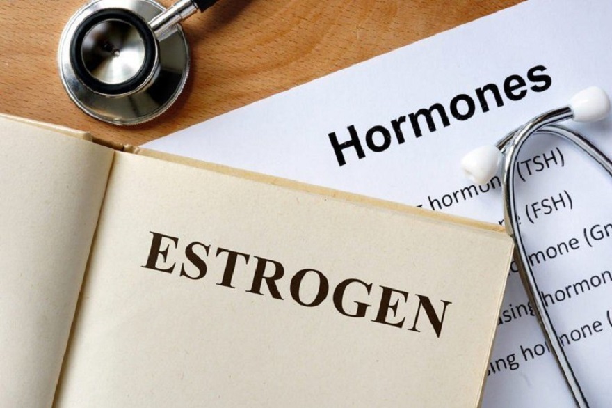 Estrogen là hormone chia phối rất nhiều ham muốn của nữ giới 