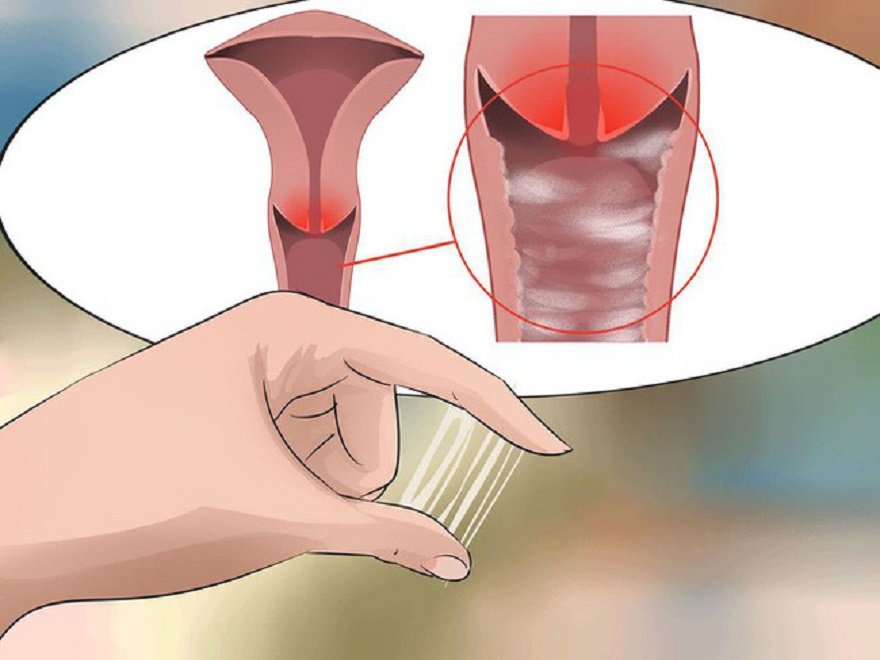 Môi trường âm đạo là nơi quyết định sinh tồn tại lâu dài của tinh trùng