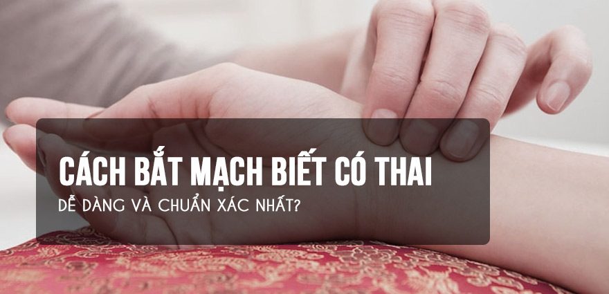Cách Bắt Mạch tay Biết Có Thai? Nguyên Lý Cơ Bản Dễ Biết